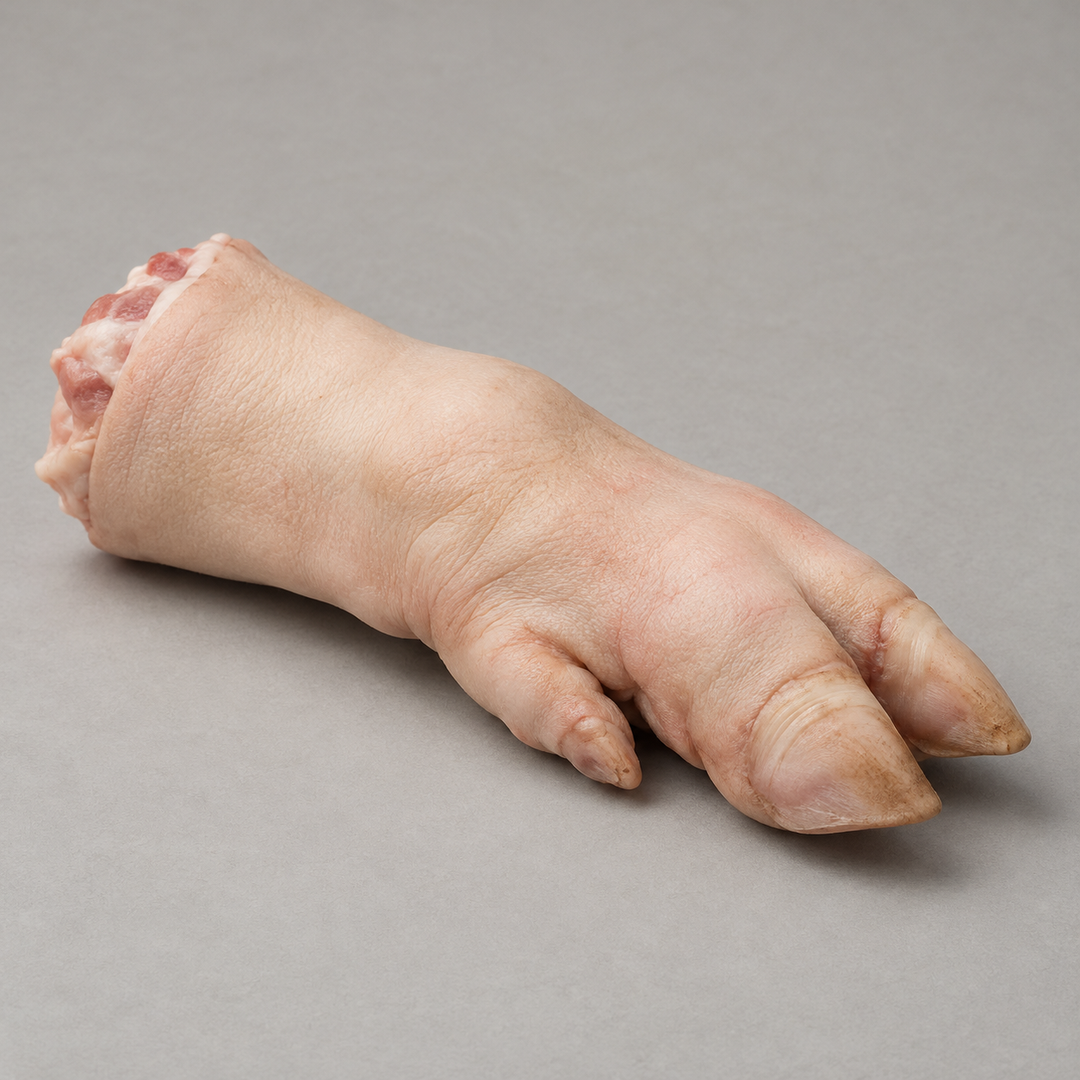 Realistische productillustratie van een biologische varkenspoot met zwoerd, bot en hoeven